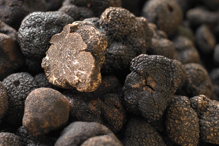 Maison Pebeyre Truffles d ete 50g