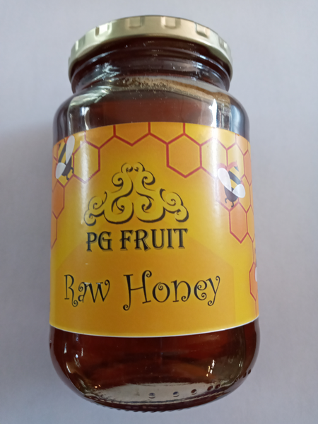 PG Fruit Raw Honey 500g