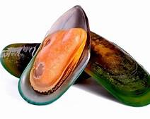 Gallo Half Shell Frozen Mussels 800g (In store collection)